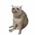 CASHCAT_LEGACY
